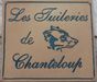 Les Tuileries de Chanteloup