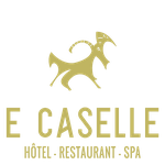 Hotel - restaurant & spa E Caselle****