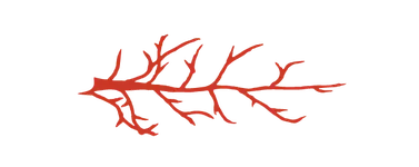 Radici Ristorante in Vigna