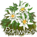 Chambres d'hôtes Edelweiss