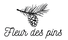 Fleur des pins