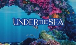 Under The Sea